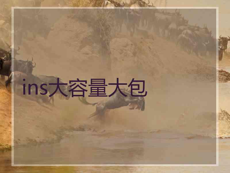 ins大容量大包