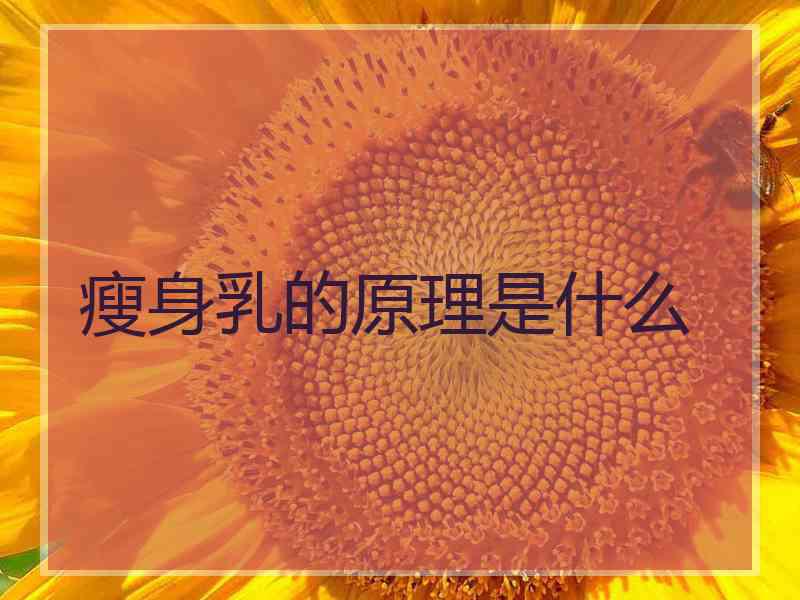 瘦身乳的原理是什么