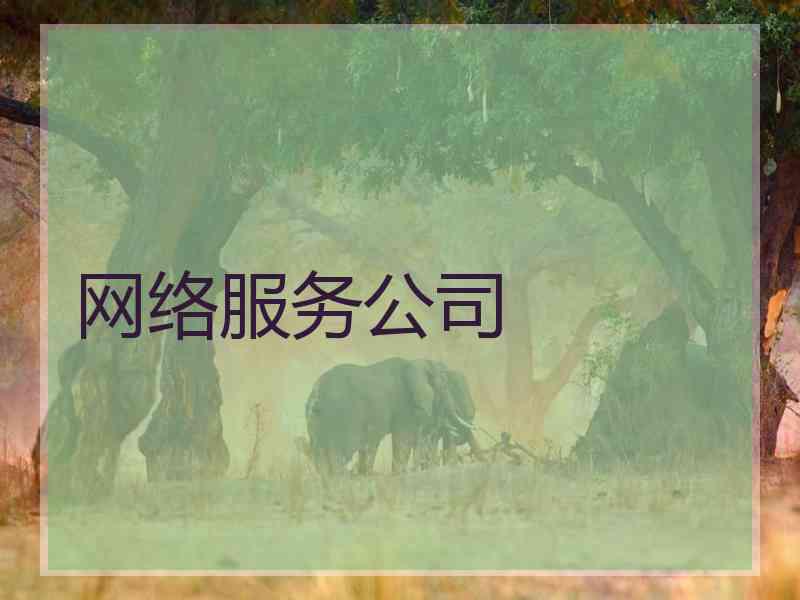 网络服务公司