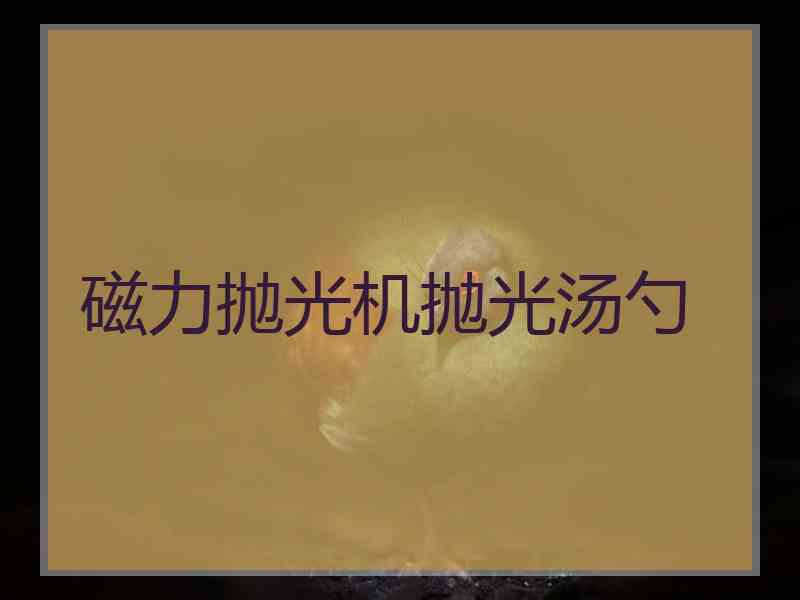 磁力抛光机抛光汤勺