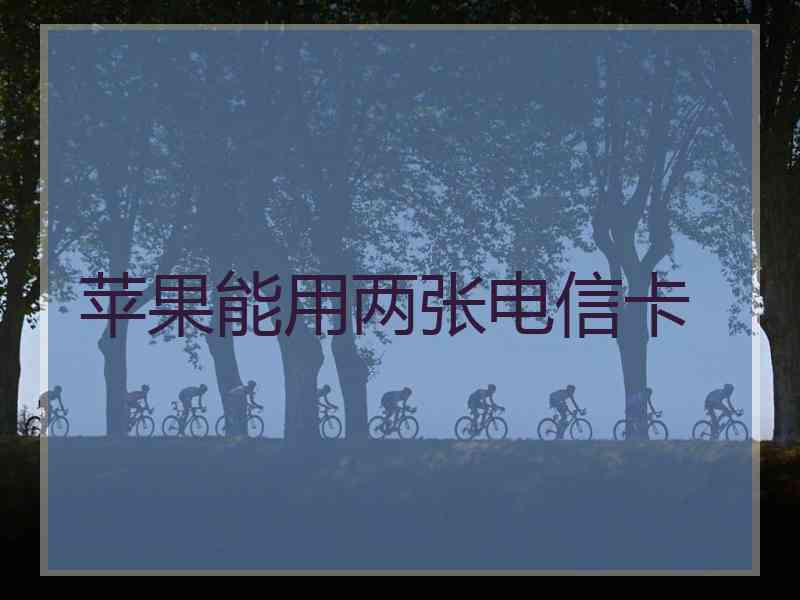 苹果能用两张电信卡