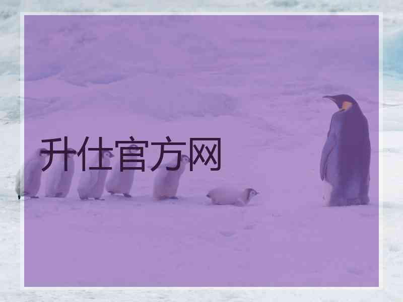 升仕官方网