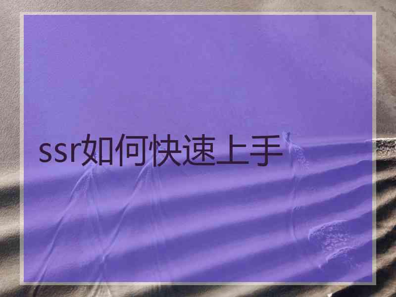 ssr如何快速上手