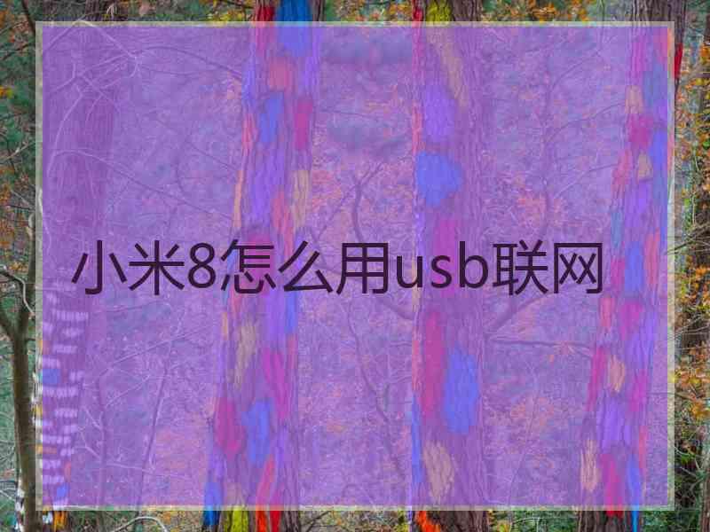 小米8怎么用usb联网