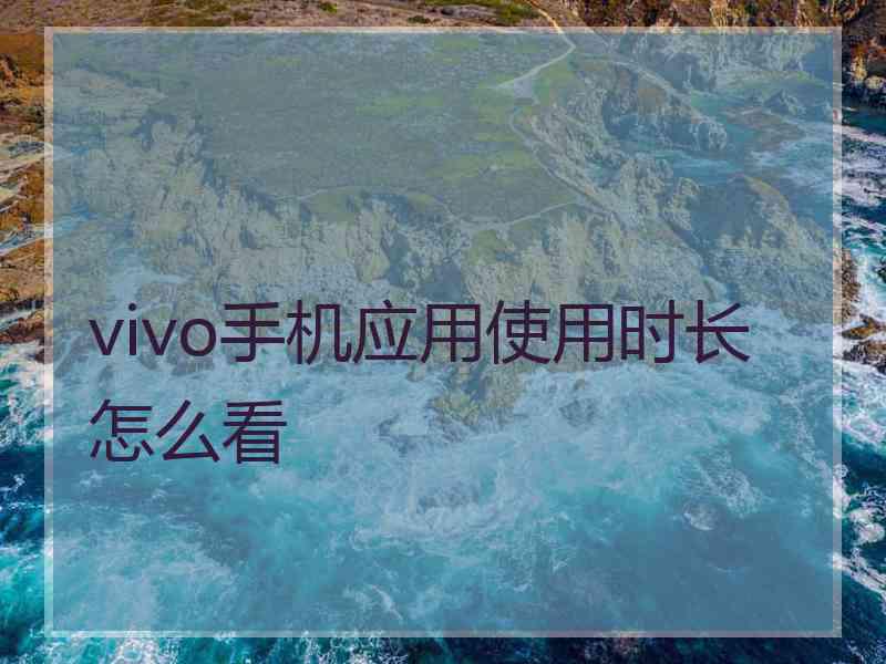 vivo手机应用使用时长怎么看