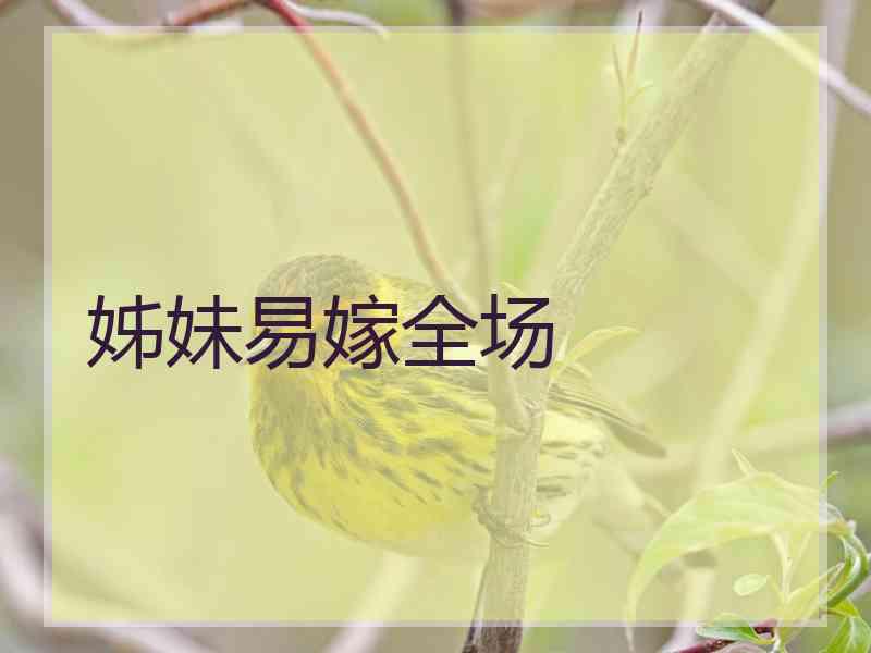 姊妹易嫁全场