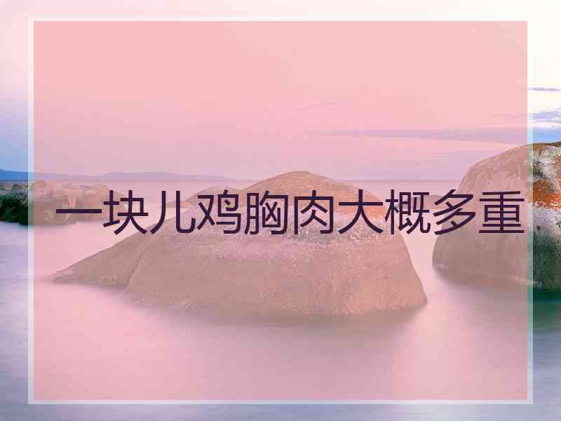 一块儿鸡胸肉大概多重