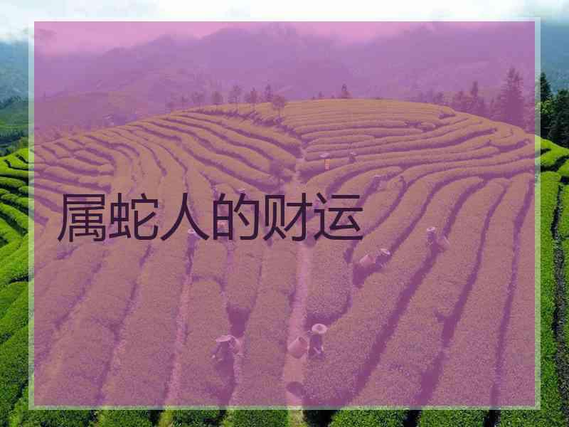 属蛇人的财运