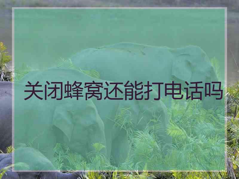 关闭蜂窝还能打电话吗