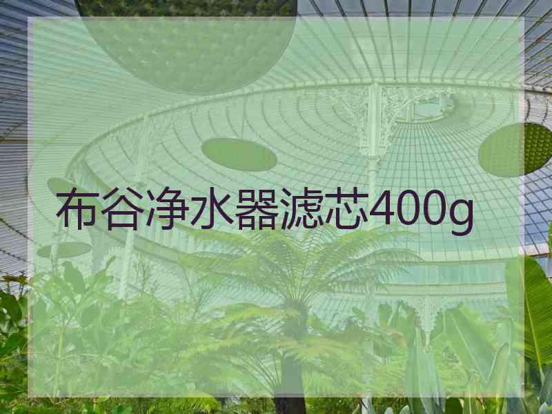 布谷净水器滤芯400g