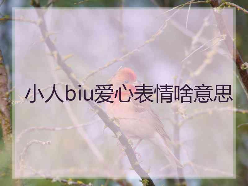 小人biu爱心表情啥意思
