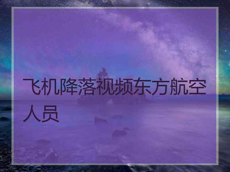 飞机降落视频东方航空人员