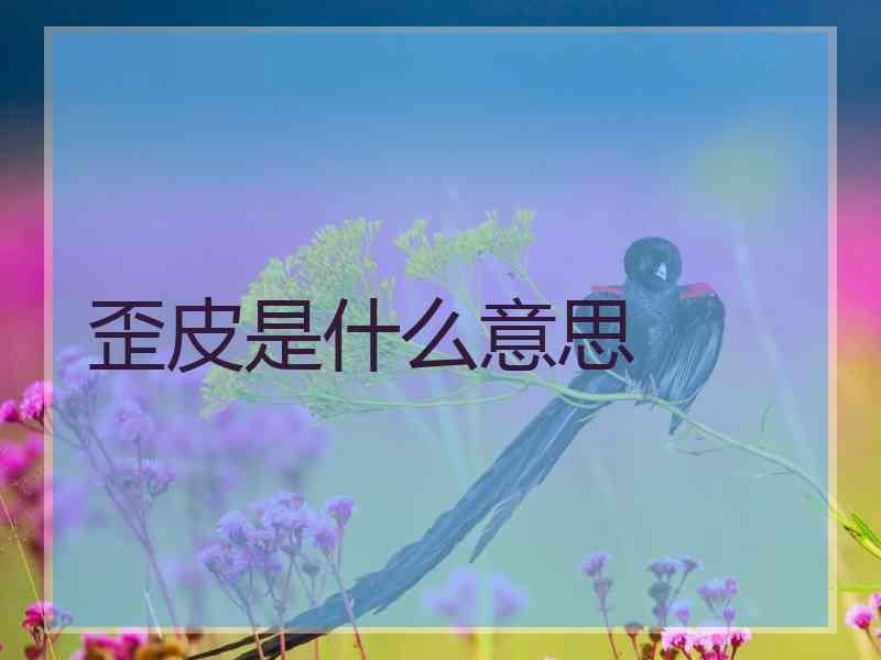 歪皮是什么意思