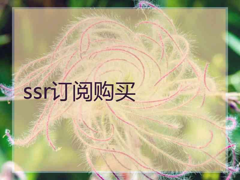 ssr订阅购买