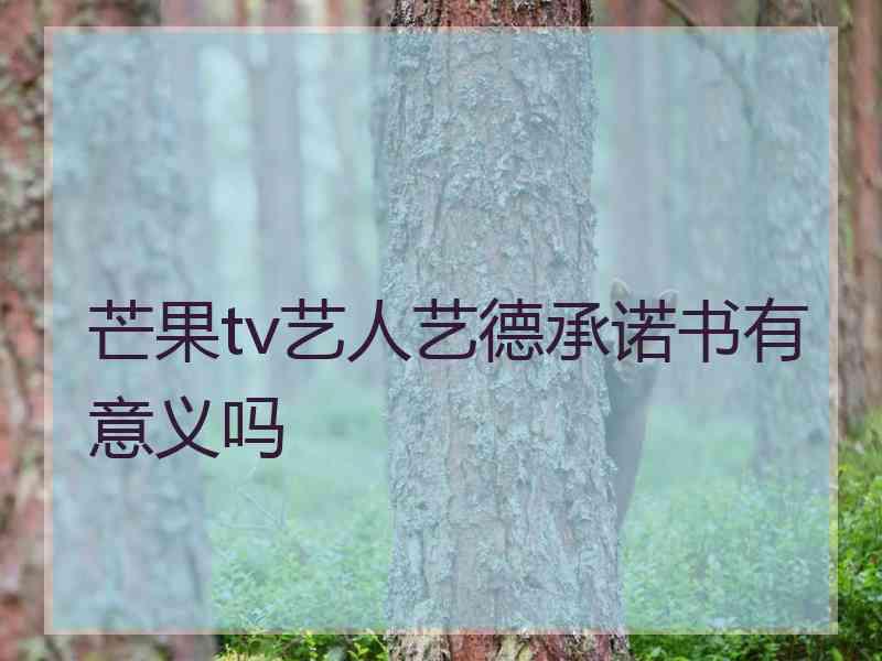 芒果tv艺人艺德承诺书有意义吗