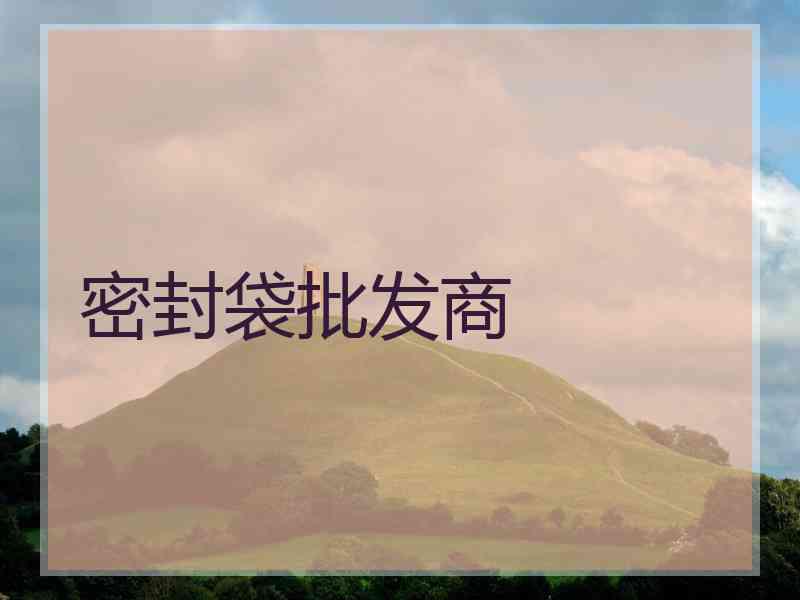 密封袋批发商