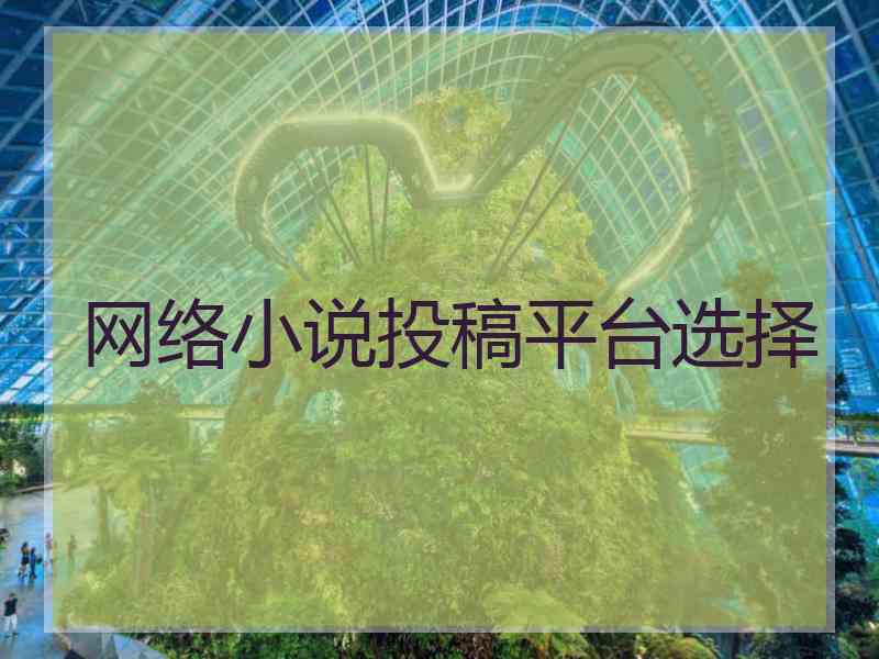 网络小说投稿平台选择