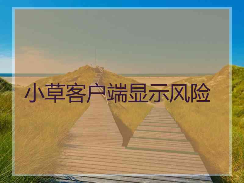 小草客户端显示风险