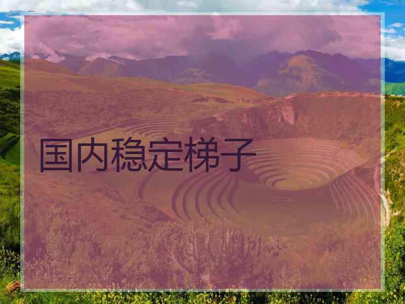 国内稳定梯子