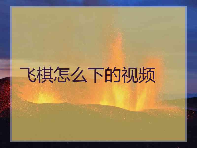 飞棋怎么下的视频