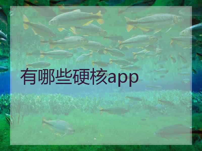 有哪些硬核app