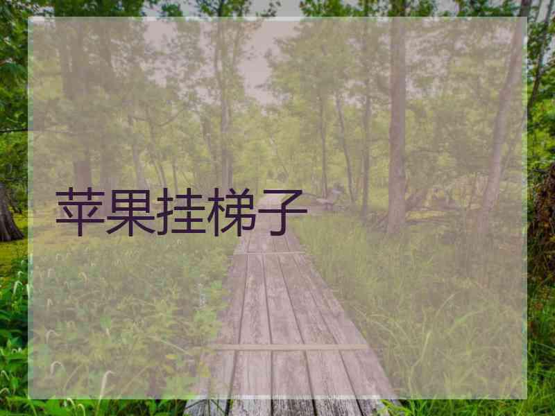 苹果挂梯子