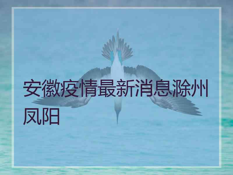 安徽疫情最新消息滁州凤阳