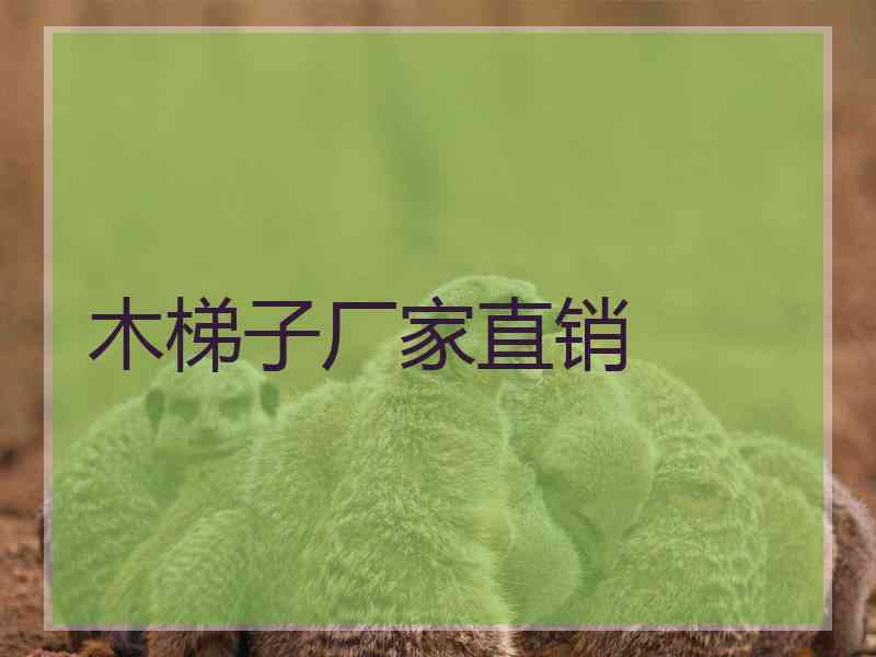 木梯子厂家直销