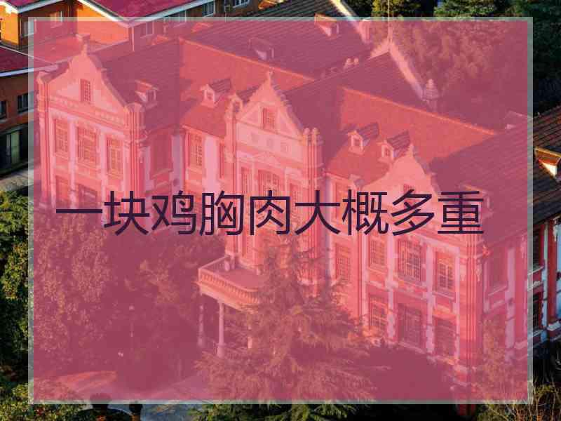 一块鸡胸肉大概多重