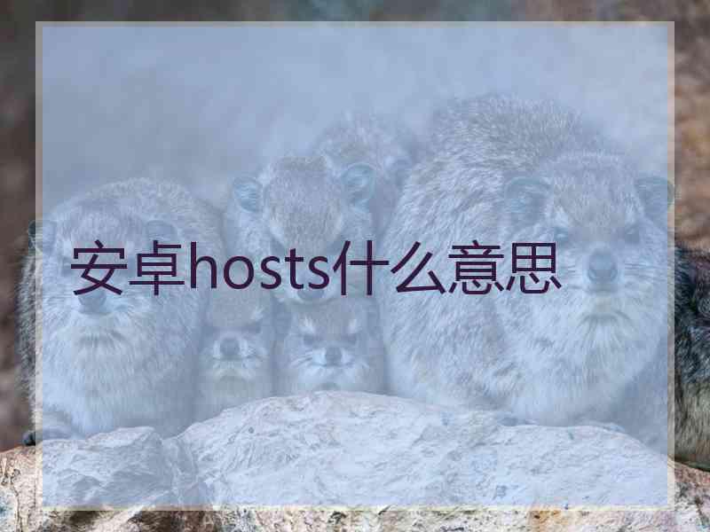 安卓hosts什么意思