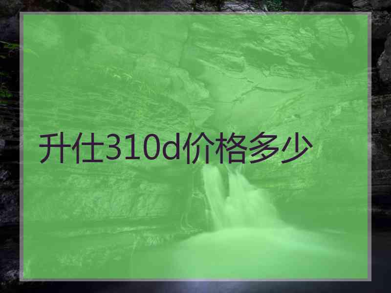 升仕310d价格多少