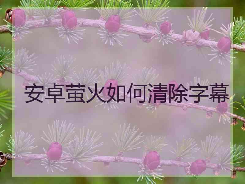 安卓萤火如何清除字幕