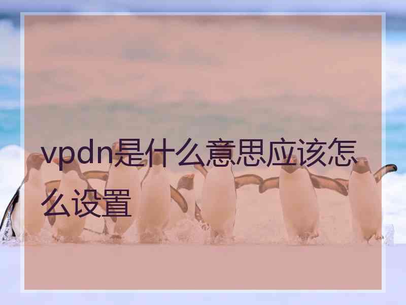 vpdn是什么意思应该怎么设置
