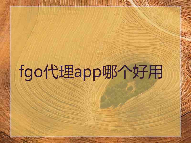 fgo代理app哪个好用