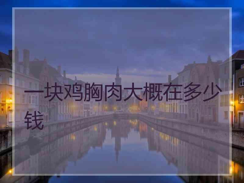 一块鸡胸肉大概在多少钱