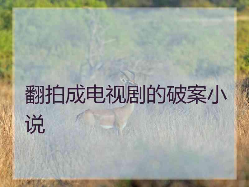翻拍成电视剧的破案小说