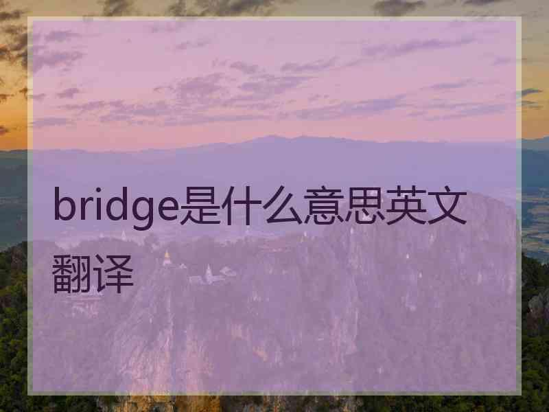 bridge是什么意思英文翻译