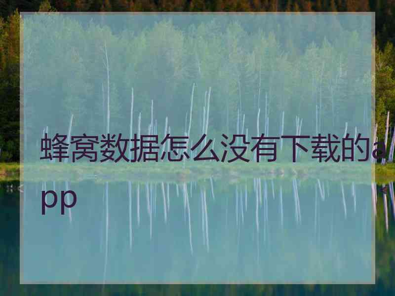 蜂窝数据怎么没有下载的app