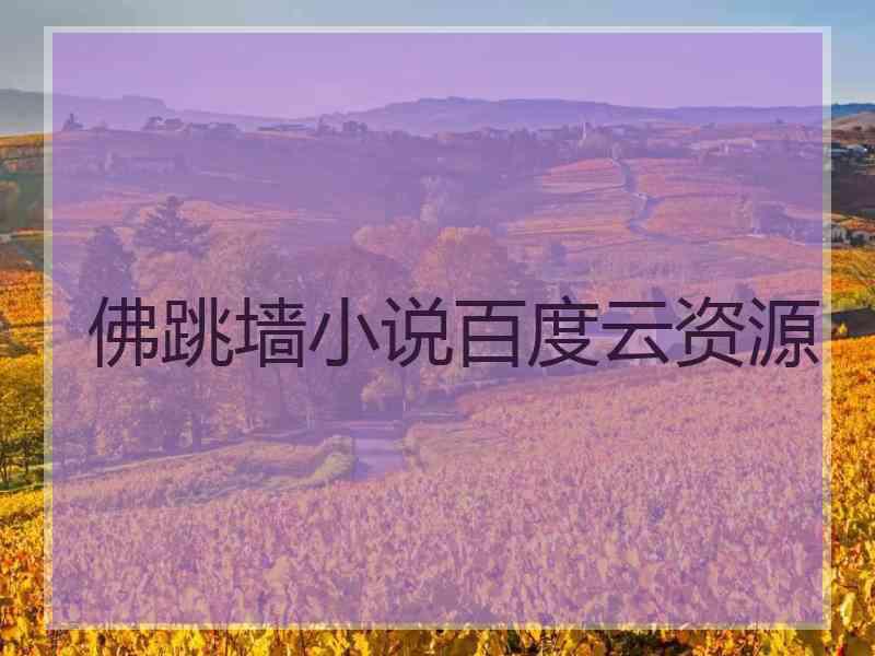 佛跳墙小说百度云资源