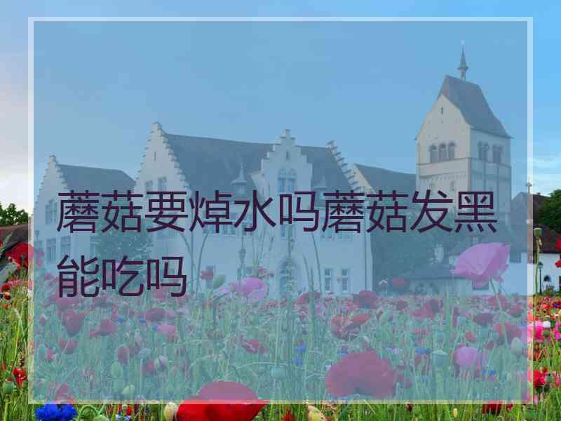 蘑菇要焯水吗蘑菇发黑能吃吗