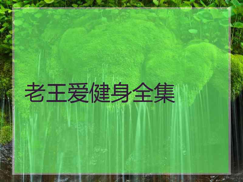 老王爱健身全集