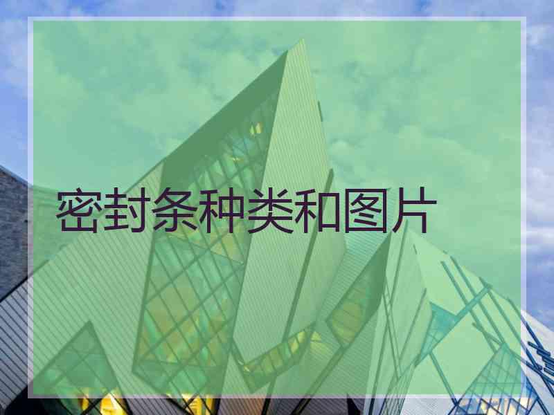 密封条种类和图片