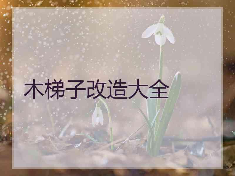 木梯子改造大全