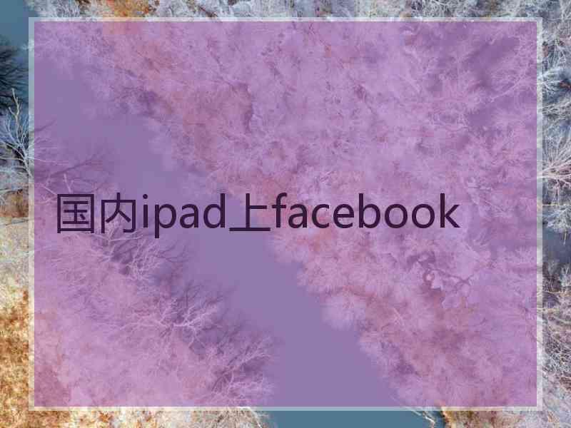 国内ipad上facebook