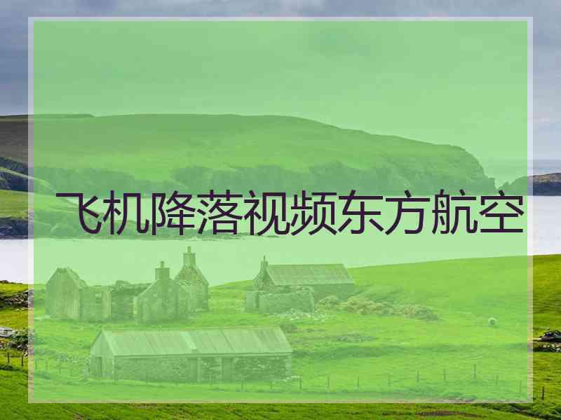 飞机降落视频东方航空