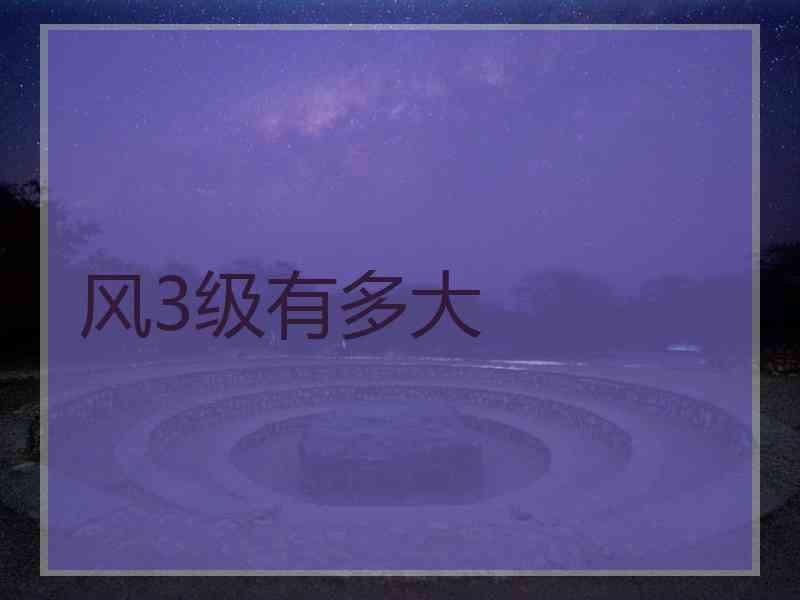 风3级有多大