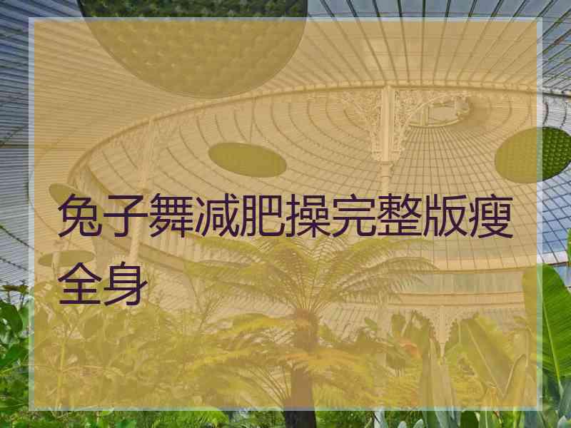 兔子舞减肥操完整版瘦全身