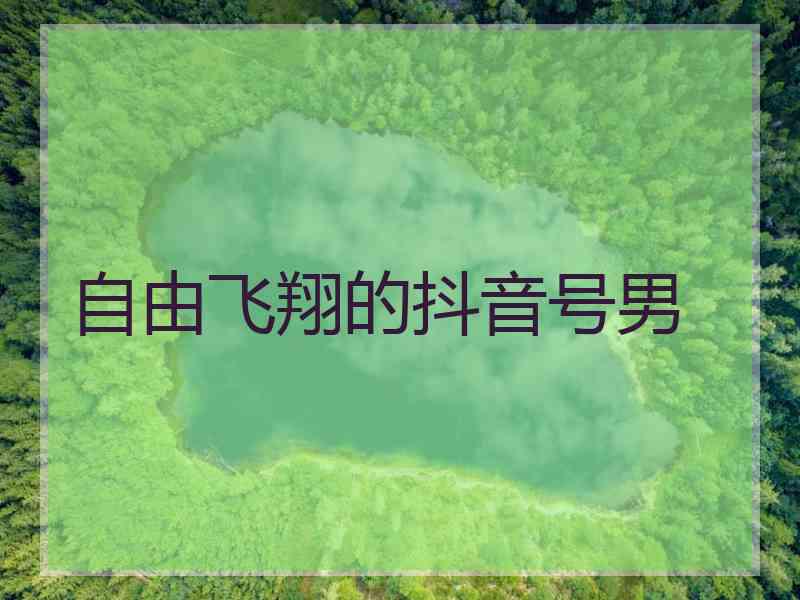 自由飞翔的抖音号男