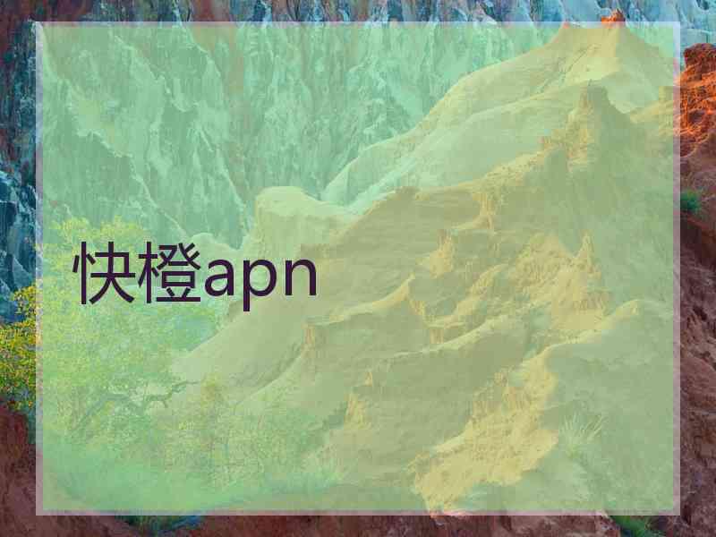 快橙apn