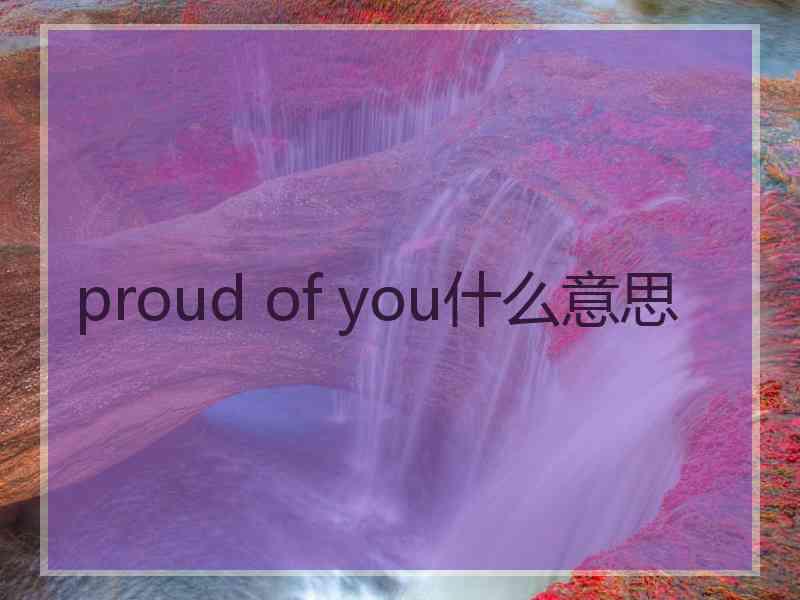 proud of you什么意思